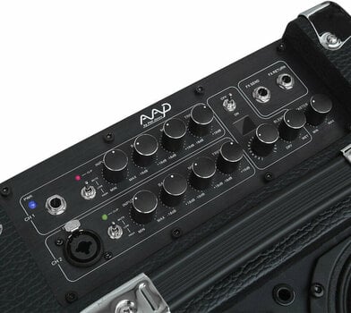 Amplificador combo para guitarra eletroacústica Phil Jones Bass AG 300 Super CUB (Danificado) - 9