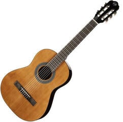Classical guitar Tanglewood EM C2 Natural Classical guitar
