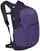 Lifestyle ruksak / Taška Osprey Daylite Plus Dream Purple 20 L Batoh