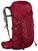 Outdoor Backpack Osprey Talon III 36 Cosmic Red S/M Outdoor Backpack