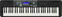 Keyboard s dynamikou Casio CT-S500