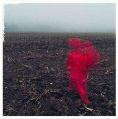 Vinyylilevy Will Varley - The Hole Around My Head (Red Vinyl) (LP)