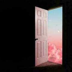 LP The Lottery Winners - Something To Leave The House For (Pink Vinyl) (LP)