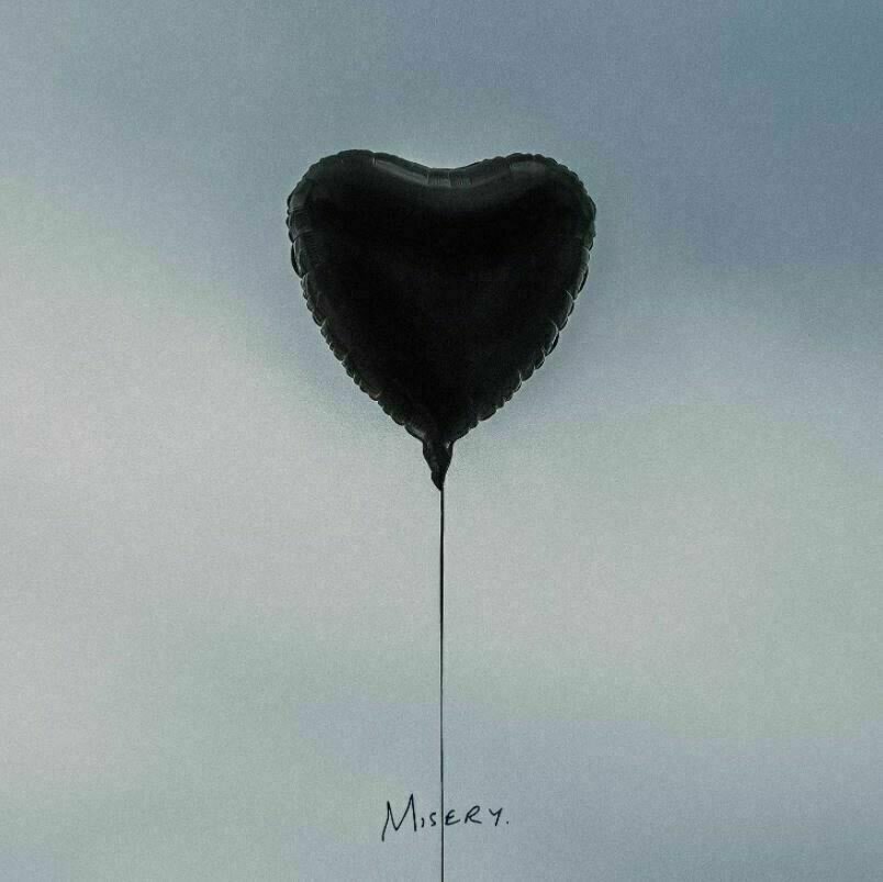 LP The Amity Affliction - Misery (LP)