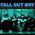 Disque vinyle Fall Out Boy - Take This To Your Grave (Silver Vinyl) (LP)