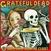 Грамофонна плоча Grateful Dead - The Best Of: Skeletons From The Closet (LP)