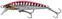 Kalastus wobbler Savage Gear Gravity Minnow Pink Barracuda PHP 5 cm 4,3 g