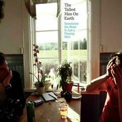 LP ploča The Tallest Man On Earth - Sometimes The Blues Is Just A Passing Bird (LP)