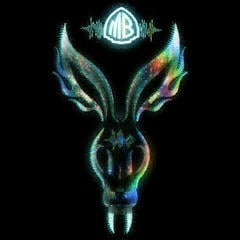 Hanglemez Mr. Bungle - The Night They Came Home (2 LP)