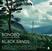 Disc de vinil Bonobo - Black Sands (2 LP)
