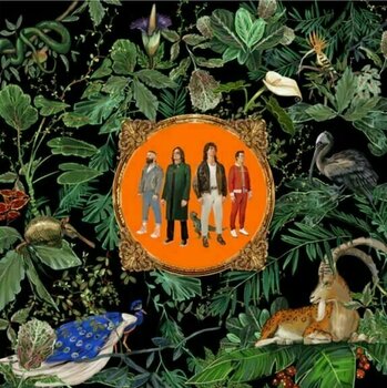 LP deska Don Broco - Amazing Things (Limited Edition) (LP) - 1