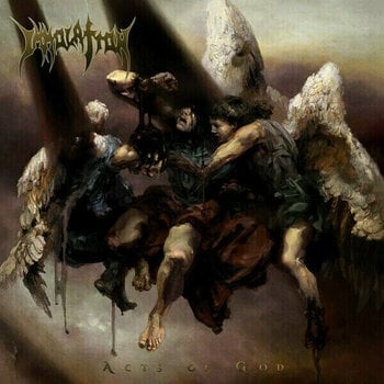 Vinyylilevy Immolation - Acts Of God (Limited Edition) (2 LP) - 1