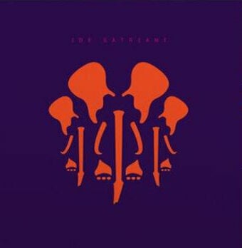 LP platňa Joe Satriani - The Elephants Of Mars (Black Vinyl) (2 LP)