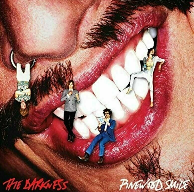 Vinyylilevy The Darkness - Pinewood Smile (LP)