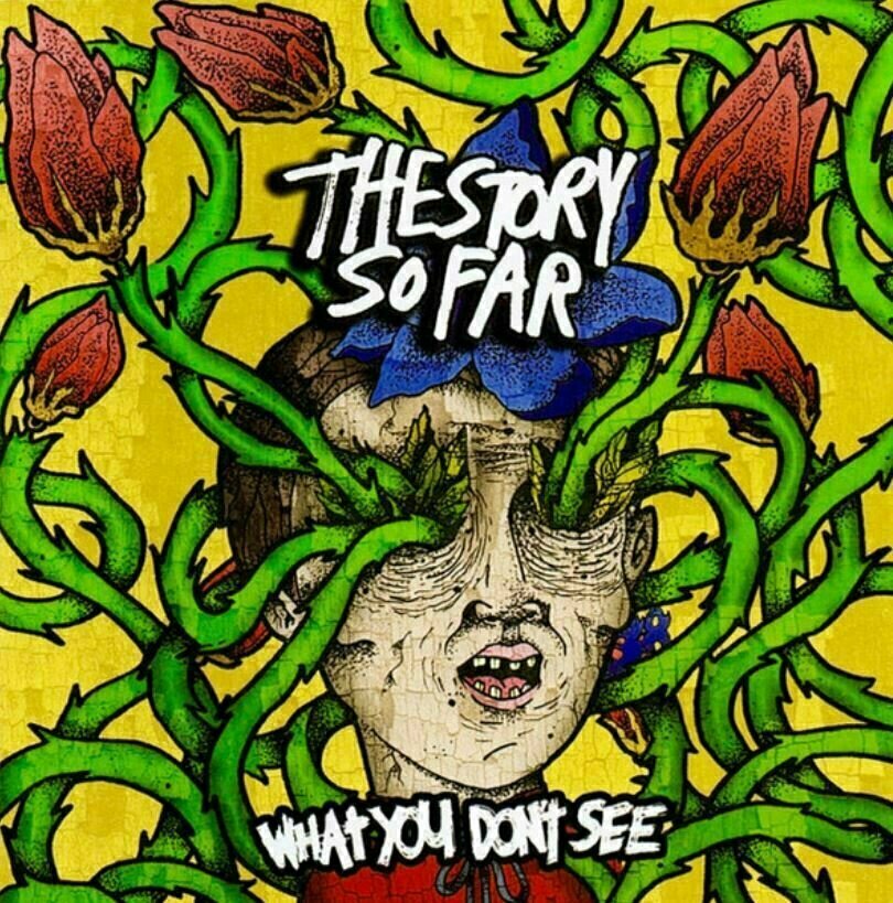 Vinyl Record The Story So Far - What You Dont See (LP)