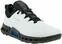 Men's golf shoes: Ecco Biom C4 White/Black 41 Golfsko til mænd Golfsko til mænd Ecco Biom C4 White/Black 41 Golfsko til mænd