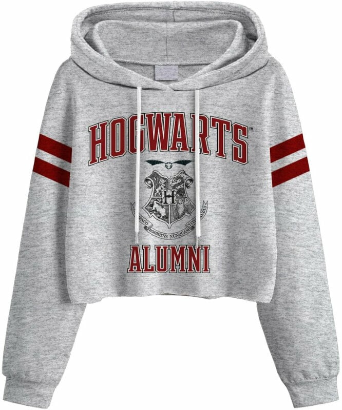 Hoodie Harry Potter Hoodie Hogwarts Alumni Ladies Gri L
