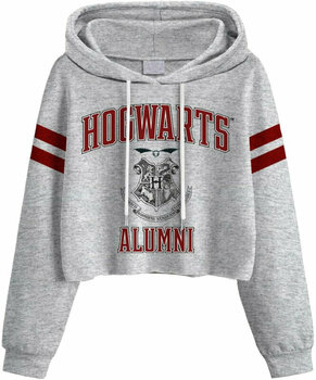Hoodie Harry Potter Hoodie Hogwarts Alumni Ladies Grey L - 1