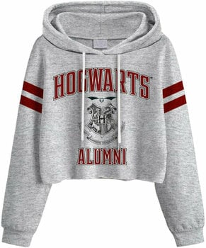 Hættetrøje Harry Potter Hættetrøje Hogwarts Alumni Ladies Grey 2XL - 1