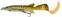 Rubber Lure Savage Gear 3D Hybrid Pike Pike 17 cm 47 g