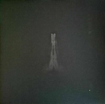 Грамофонна плоча Sault - Untitled (Rise) (2 LP) - 1