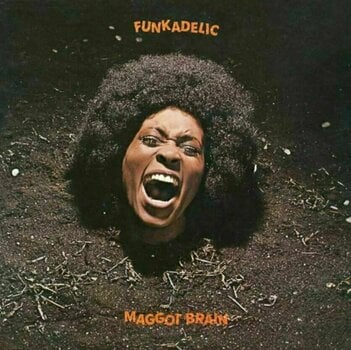 Vinyl Record Funkadelic - Maggot Brain (Reissue) (Remastered) (2 LP) - 1