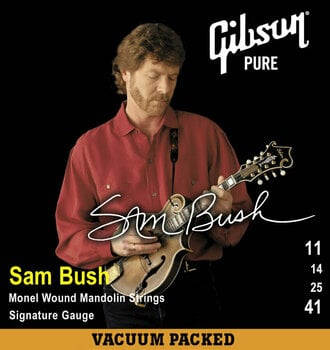 Mandoline Strings Gibson Sam Bush Signature Mandolin - 1