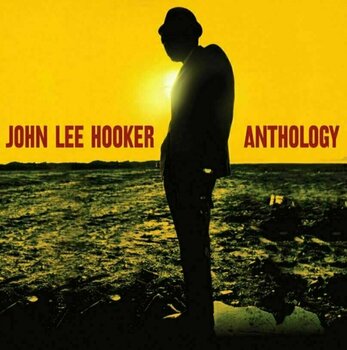 Vinyl Record John Lee Hooker - Anthology (2 LP) - 1
