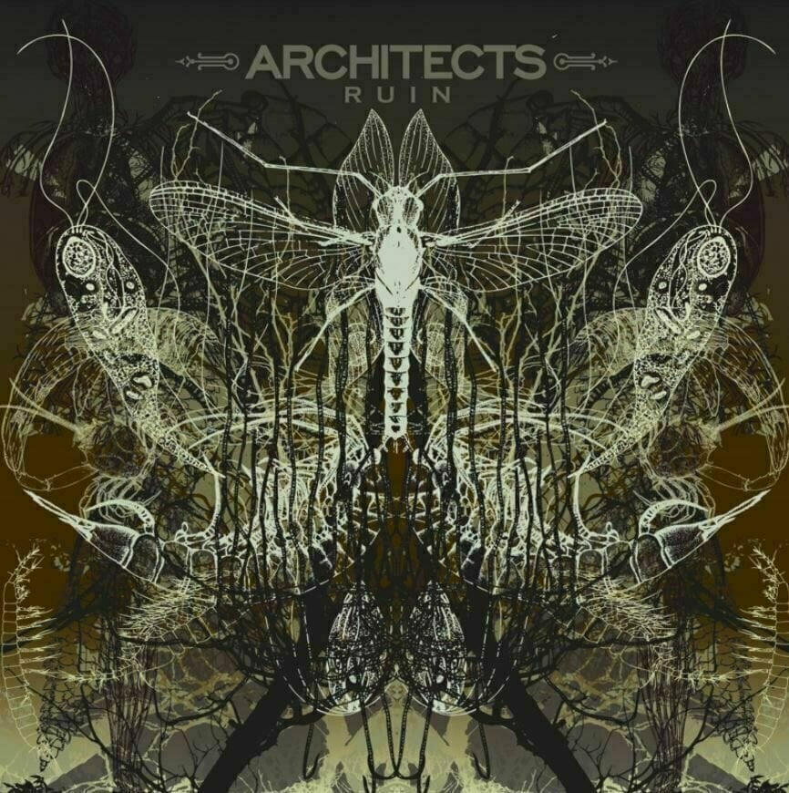 Vinyylilevy Architects - Ruin (LP)