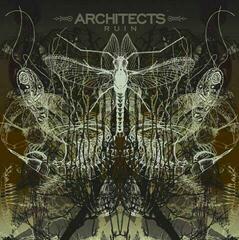 LP platňa Architects - Ruin (LP)
