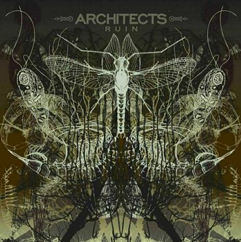 Vinyl Record Architects - Ruin (LP) - 1
