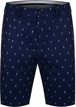 Pantalones cortos Kjus Mens Iver Printed Shorts 10'' Atlanta Blue/White 34 - 1