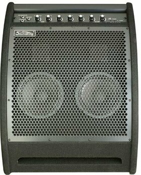 Moniteur pour batterie électronique Soundking DS200 - 1
