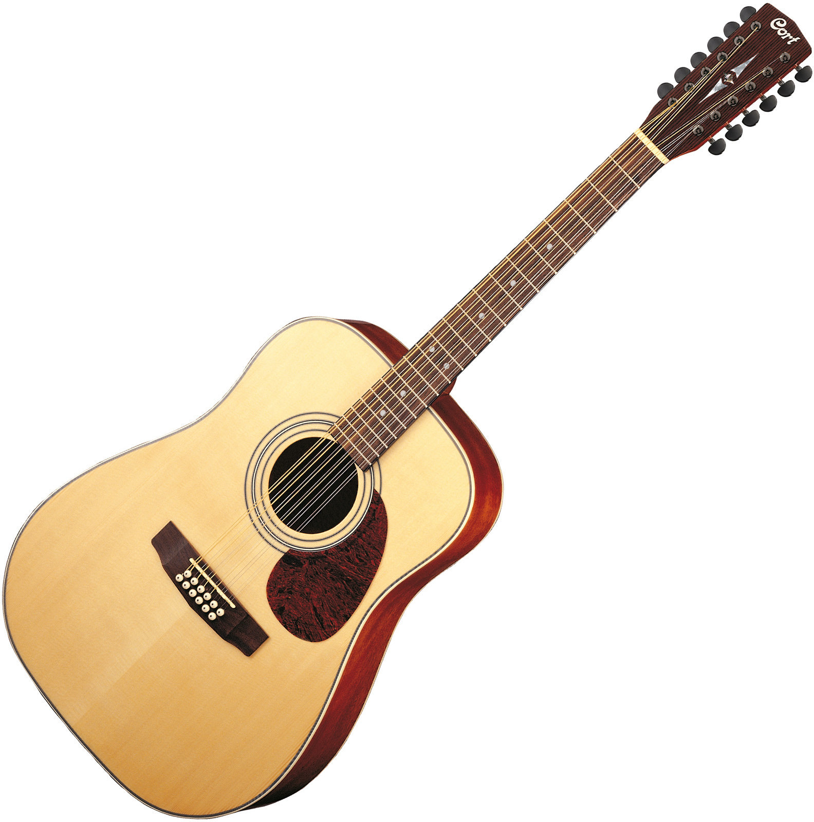 12-snarige akoestische gitaar Cort EARTH70-12 NS