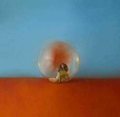 LP platňa Alessia Cara - In The Meantime (2 LP)