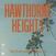 Schallplatte Hawthorne Heights - The Rain Just Follows Me (LP)