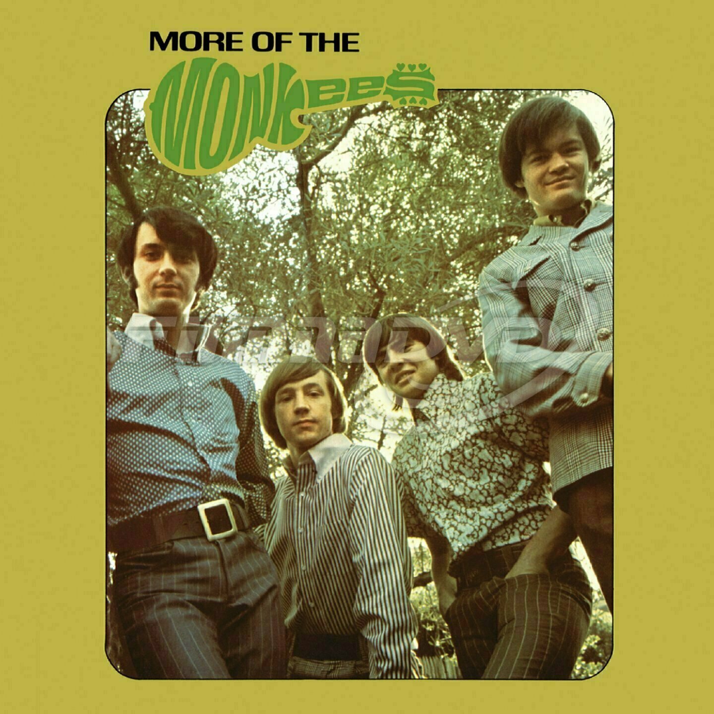 Vinylplade Monkees - More Of The Monkees (2 LP)