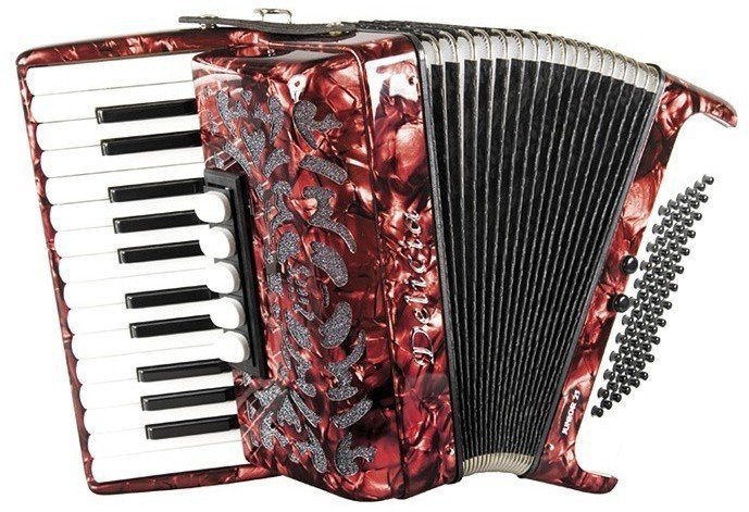 Piano accordion
 Delicia JUNIOR 23 Red