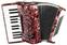 Acordeon cu clape
 Delicia JUNIOR 23 Red