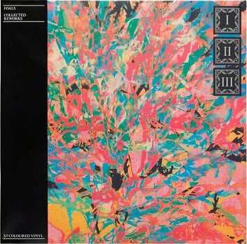 LP deska Foals - Collected Reworks (Coloured Vinyl) (3 LP) - 1