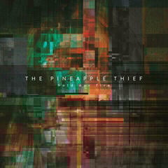 Schallplatte The Pineapple Thief - Hold Our Fire (LP)