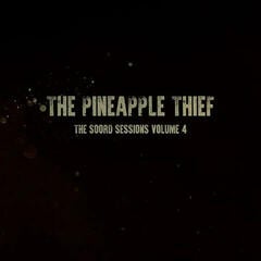 Schallplatte The Pineapple Thief - Soord Sessions Volume 4 (LP)
