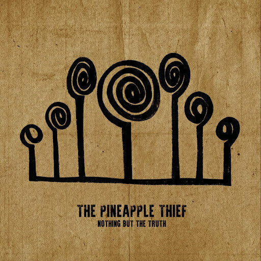 Vinyl Record The Pineapple Thief - Nothing But The Truth (2 LP)