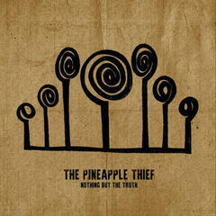 Schallplatte The Pineapple Thief - Nothing But The Truth (2 LP)