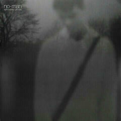 Schallplatte No-Man - Schoolyard Ghosts (2 LP) (Neuwertig)