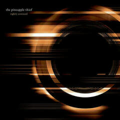 Schallplatte The Pineapple Thief - Tightly Unwound (2 LP)