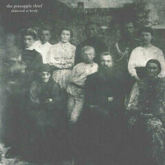 Schallplatte The Pineapple Thief - Abducted At Birth (2 LP)
