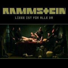 Disc de vinil Rammstein - Liebe Ist Für Alle Da (2 LP)