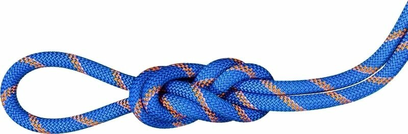Mammut 9.0 Alpine Sender Dry Rope Dry Standard Ice/Sunrise 50 m