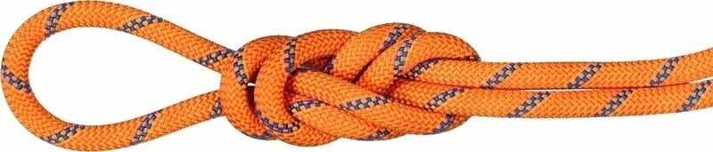 Mammut 9.0 Alpine Sender Dry Rope Dry Standard Sunrise/Ice 30 m